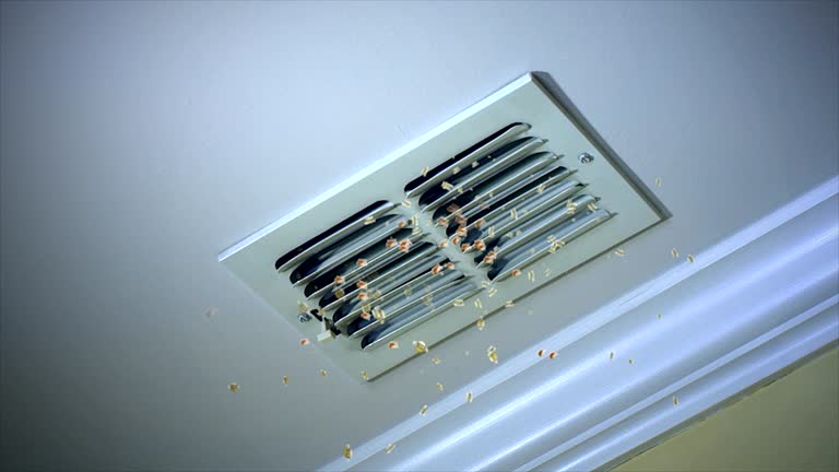Best Affordable Duct Cleaning Services  in Donaldsonville, LA
