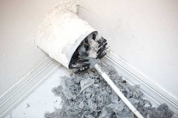 Best HVAC Maintenance and Cleaning  in Donaldsonville, LA